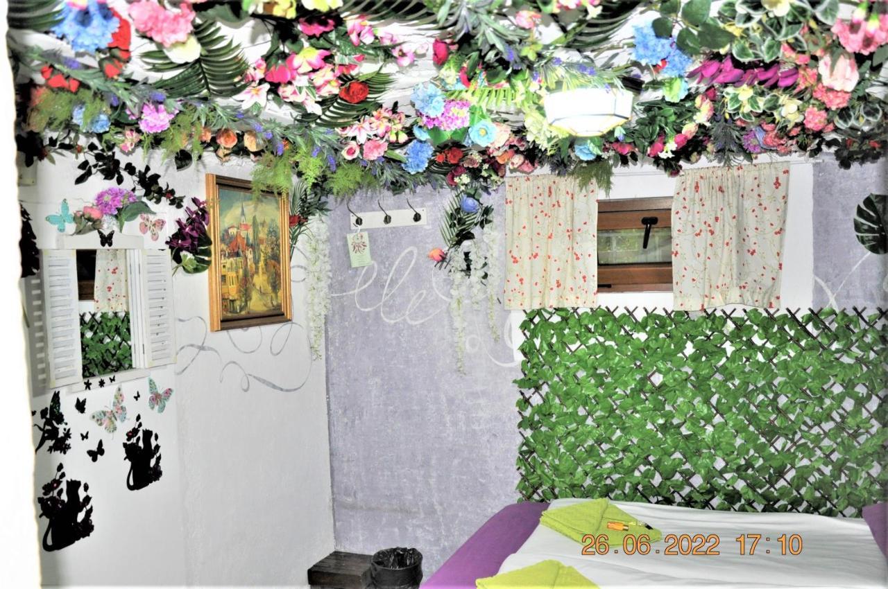 Social Guest House Sofia Bagian luar foto